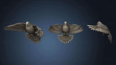 3D model Dove2 (STL)